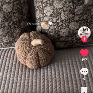 Meet your Posher, Ana